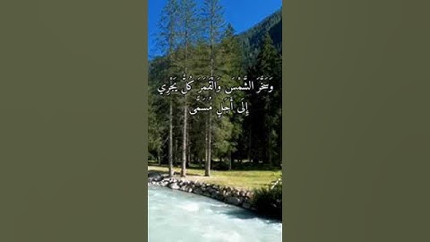 من سورة لقمان || القارئ عبد الرحمن الشحات