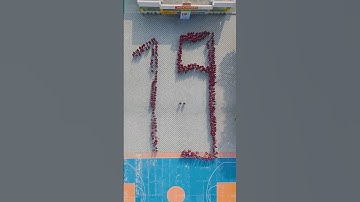 19 YEARS IN MOTION 🎉|| Foundation Day | NV Sir #shorts #ytshorts #nvsir