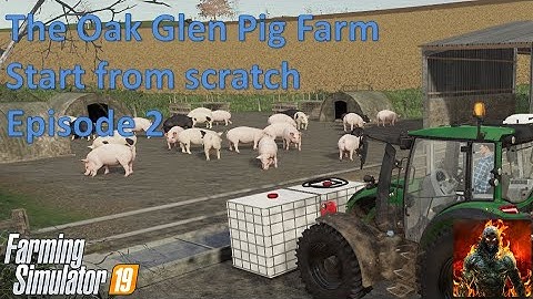 A guide to pigs with Season and maize plus - ep2