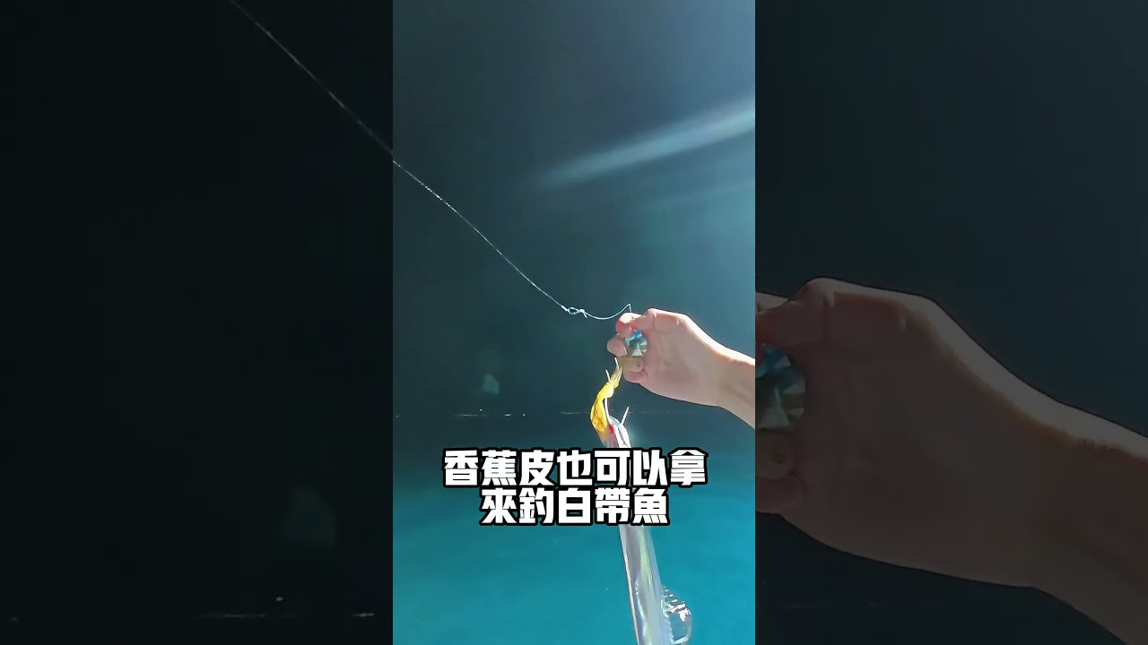 香蕉皮可以拿來釣魚嗎？🍌#釣魚 #船釣 #白帶魚 #香蕉 縮圖