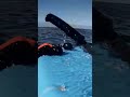 Diving, end of autumn. #family #familyfun #diving #sea #seafood