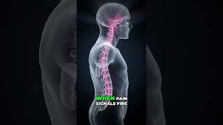 Endometriosis Pain: Central Sensitization Explained #shorts