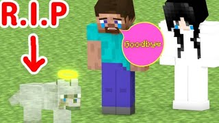 Monster School : R.I.P Dog, Goodbye 😢 - Minecraft Animation