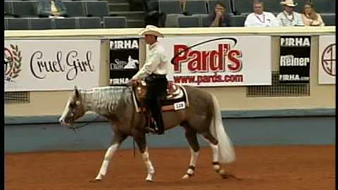 Big Chex To Cash & Andrea Fappani - 2007 NRHA Derb...