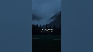 ياسر الدوسري || سورة التوبة🤍🎧 #quran #ياسر_الدوسري #viralvideo