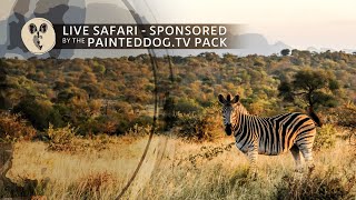 LIVE Safari Sponsored by the Painteddog.tv Pack | 15 April 2024 screenshot 1