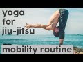 Routine for Healthy Hips & Feet | Breathe and Flow Yoga for BJJ