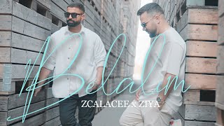 Zcalacee x Ziya - Belalim (prod. by Chris Jarbee) offizielles Video Resimi