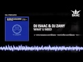DJ Isaac DJ Zany What U Need DJ Isaac DJ Zany What U Need