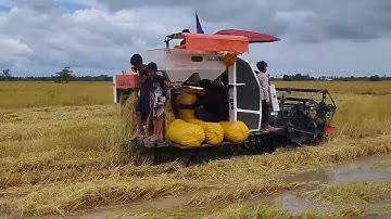 Start A New Project Operator Skills Dozer Clearing & Gravel Forest