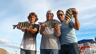Intercoastal Sheepshead on a PONTOON!  Catch, Clean and Cook!