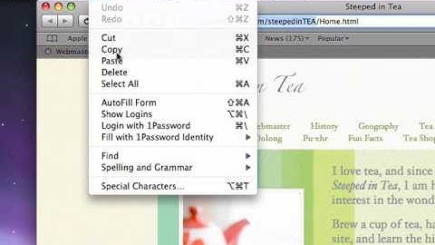 How to use RAGE Software