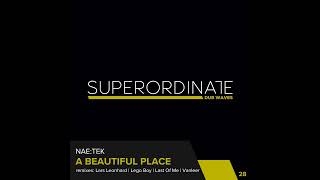 Nae:Tek - A Beautiful Place (Last of Me Remix)