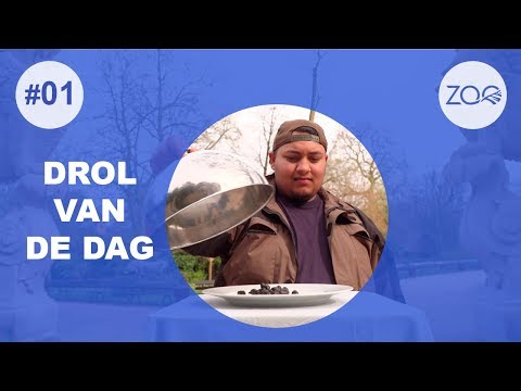 Drol van de Dag #1