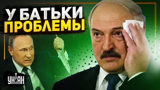 Таракан крайне растерян. Подоляк назвал главную проблему Лукашенко