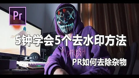 【PR教程】五分钟快速学会，五个去水印方法！PR如何去除杂物 - 天天要闻
