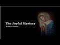 The Holy Rosary: Joyful Mysteries with Litany  (Monday & Saturday)