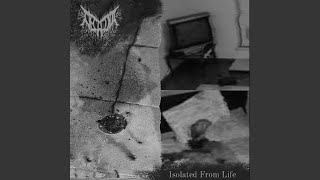 Lifelover - Visdomsord