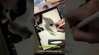Download FREE Realistic OIL Brushes for Procreate #procreate #procreatebrushes