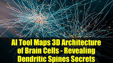 AI Tool Maps 3D Architecture of Brain Cells - Revealing Dendritic Spines Secrets