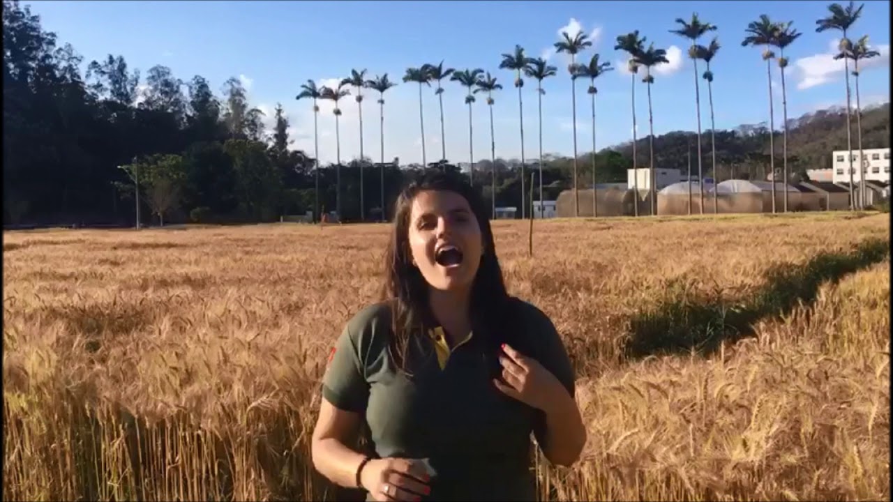 Ana Carolina - Programa TOP - YouTube