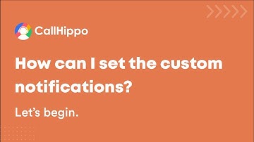How can I set the custom notifications? | CallHippo | FAQ