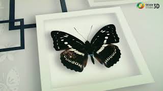 видео Фотообои Бабочки
