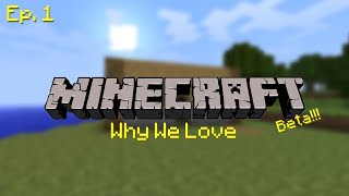 Why We Love: Minecraft Beta