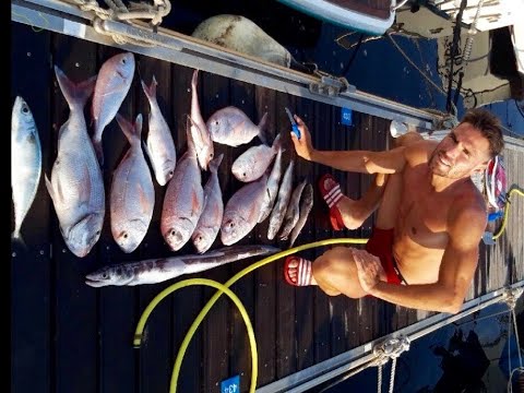pêche au palangre plus de 30 kg de gros pagres + pageots+  daurades + fielas à Marseille