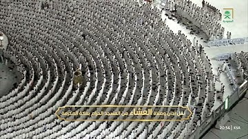 سورة النساء 36-42 - صلاة العشاء - للشيخ الوليد الشمسان - الإثنين 5 محرم 1447