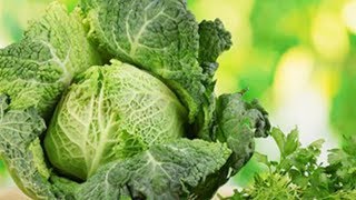 Экзотическая КАПУСТА из итальянского графства САВОЙЯ - улучшает состав крови! Экзотическая КАПУСТА из итальянского графства САВОЙЯ - улучшает состав крови!