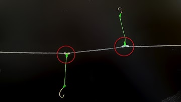 Cách Buộc Thẻo Câu Cá 2 Lưỡi Riêng Biệt Chì Dưới . Buộc Dây Câu Cá | FISHINGHOOK •