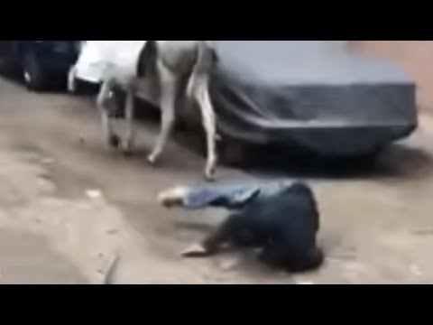 العين فلقت الحجر