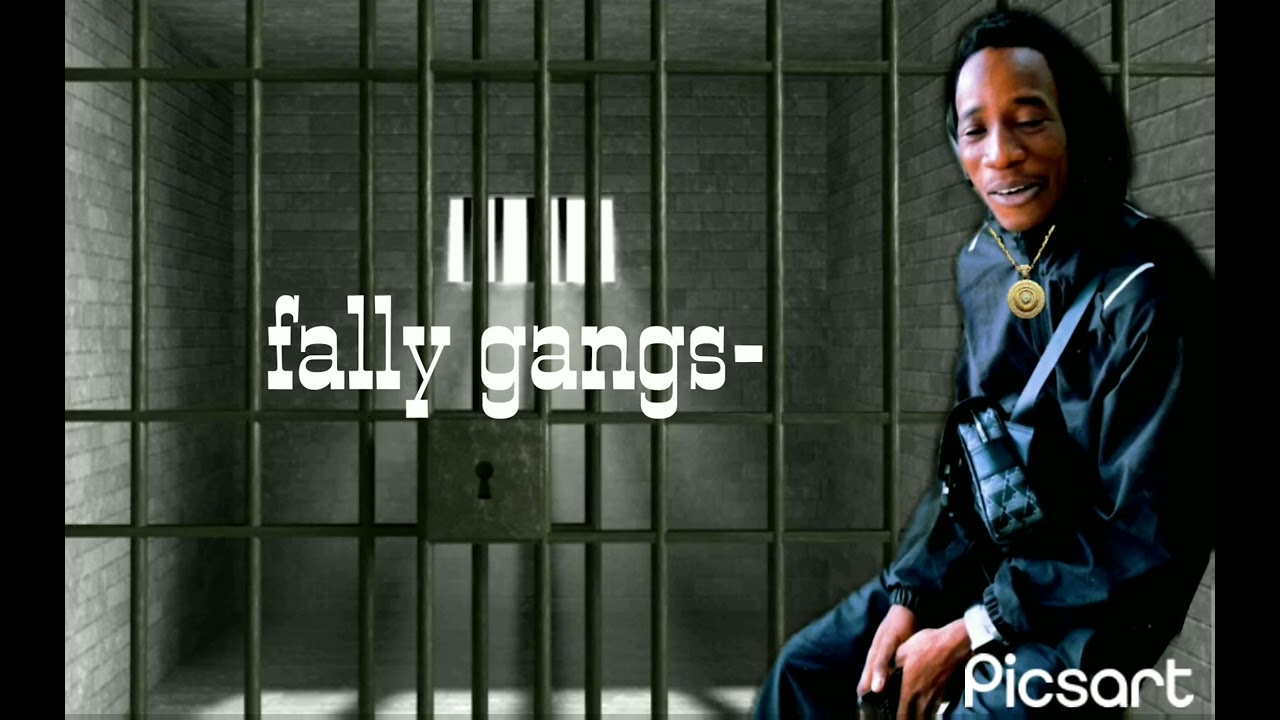 Fally gangs-_- dieligui-n'tey