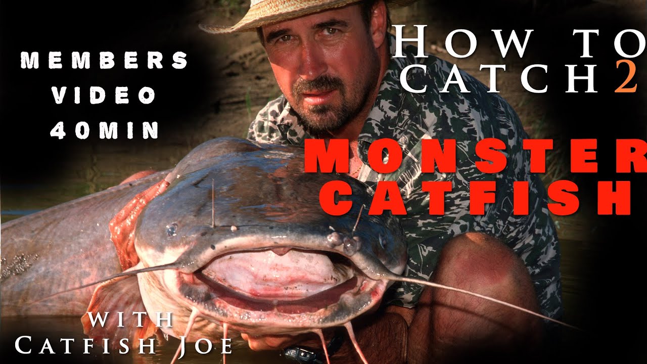 Everything you need to know. How to catch monster catfish in Africa. 