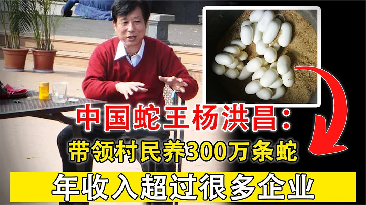 中国蛇王杨洪昌：带领村民养300万条蛇，年收入超过很多企业 #案件 #探案 #悬案 #悬疑 #案件解说 - 天天要闻