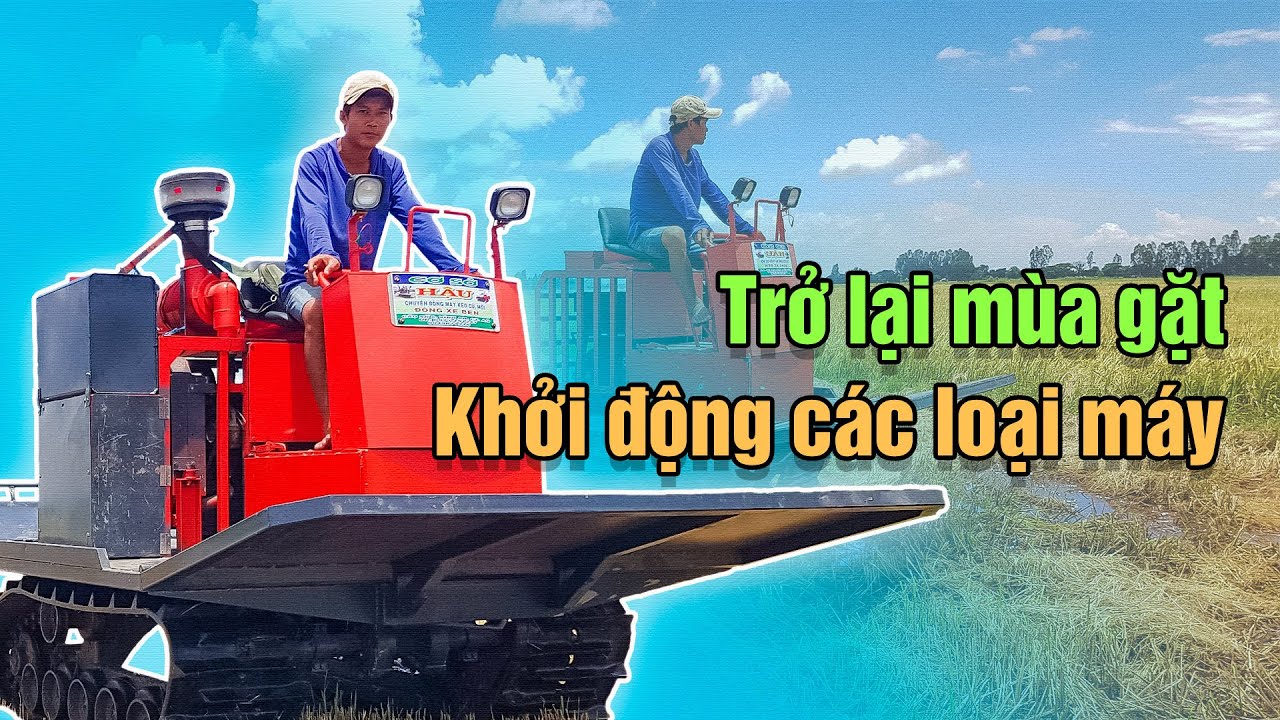 Trở lại mùa gặt - Ngày cắt lúa đầu tiên | Dúi Dúi Vlogs