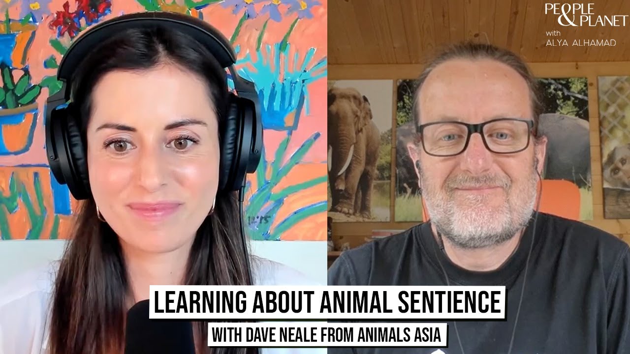 13: Learning About Animal Sentience With Dave Neale From Animals Asia