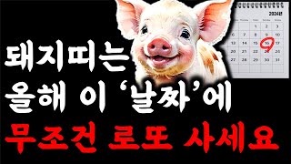 돼지띠 2024년에 반드시 로또 1등 당첨되는 대박 날짜 알려드립니다 영상 보시고 기운 받아가세요 2024년…