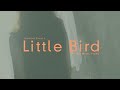 OFFICIAL MUSIC VIDEO : LITTLE BIRD - JASMINE RISACH