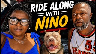 Taking My XL American Bully Along for the Ride