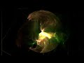 Fractal Animation Background 🎨 | 4 Hours | Focus &amp; Relaxation | Calm Veritas