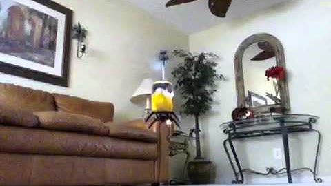 RC BIG HELICOPTER SYMA S033G TEST FLIGHT, LARGE ELECTRIC