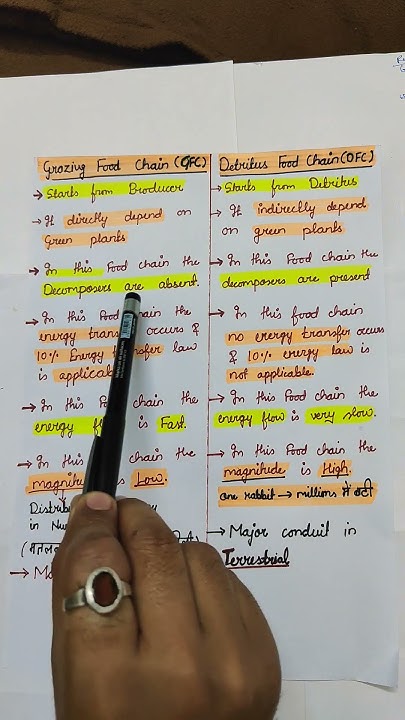difference-between-gfc-and-dfc-important-points-of-grazing-food-chain