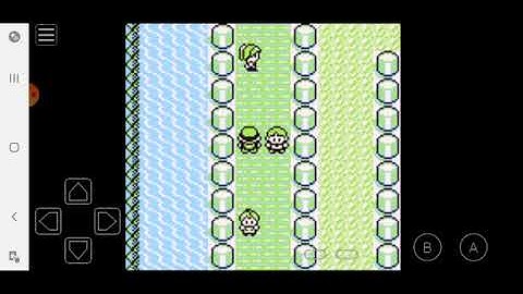 Pokemon Red Walkthrough Episode 8: Nugget Bridge