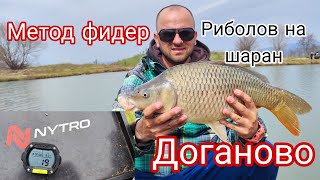 картинка: ОТКРИХМЕ СЕЗОНА на ШАРАНА! МЕТОД ФИДЕР РИБОЛОВ на ДОГАНОВО!
