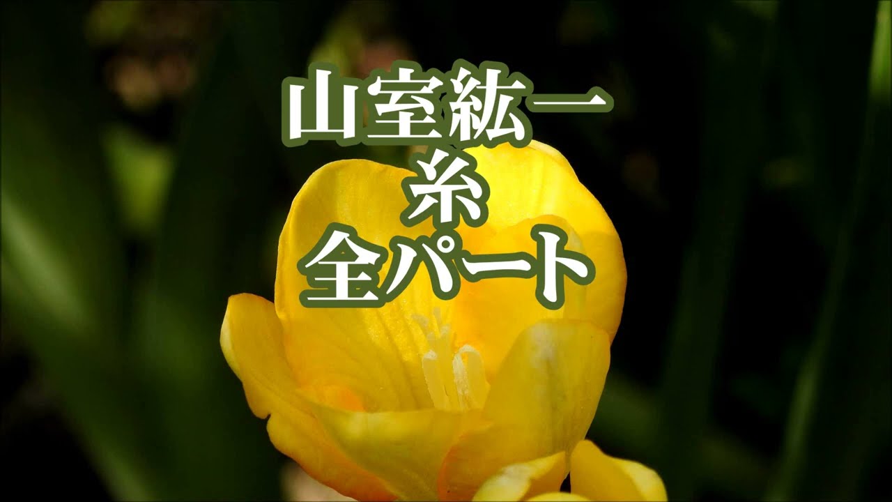 声がする‼︎ 血の中から！　さがみゆき 7515] ひばり書房/さがみゆき「声がする!血の中から!!」