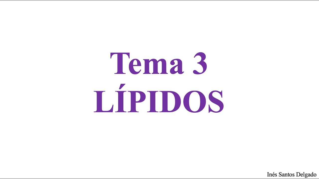 T3. Lípidos