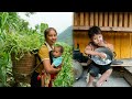 Chuc Thi Duong harvests green vegetables to sell at the market - it&#39;s so warm that the boy is back