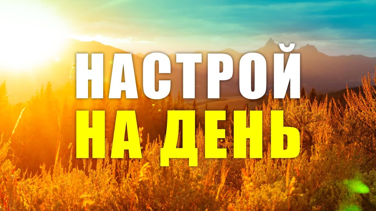 НАСТРОЙ НА ДЕНЬ ☀️ НАЧНИ самый лучший день СВОЕЙ ЖИЗНИ самая лучшая МОТИВАЦИЯ НА УТРО ☀️